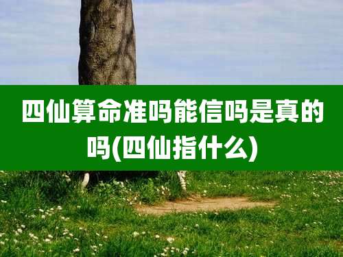 四仙算命准吗能信吗是真的吗(四仙指什么)