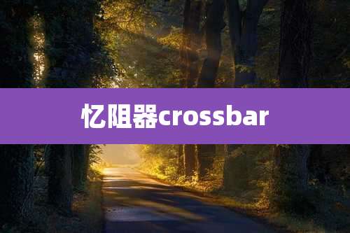 忆阻器crossbar