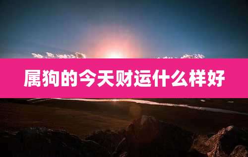 属狗的今天财运什么样好