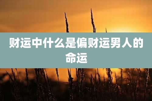 财运中什么是偏财运男人的命运