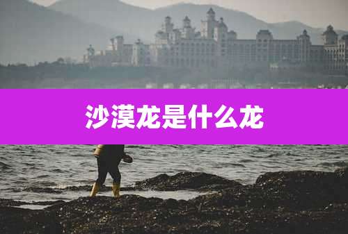 沙漠龙是什么龙
