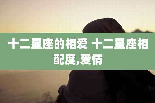 十二星座的相爱 十二星座相配度,爱情