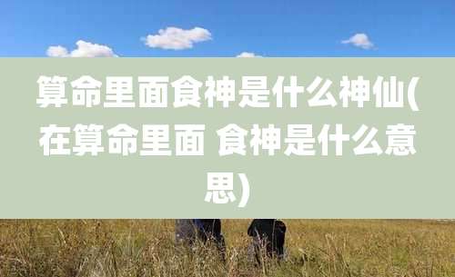 算命里面食神是什么神仙(在算命里面 食神是什么意思)