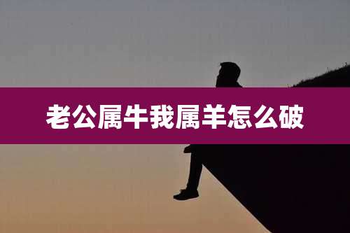 老公属牛我属羊怎么破