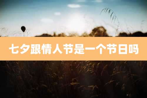 七夕跟情人节是一个节日吗