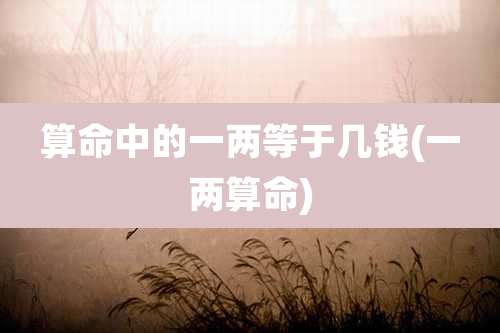 算命中的一两等于几钱(一两算命)