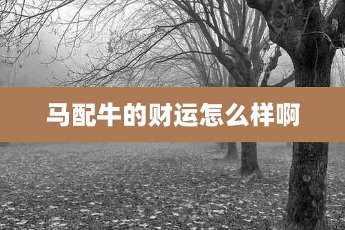 马配牛的财运怎么样啊