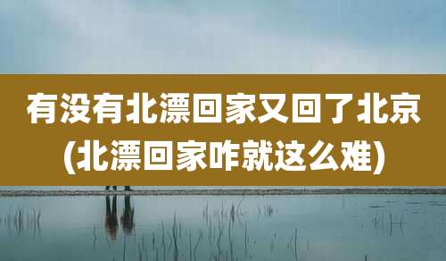 有没有北漂回家又回了北京(北漂回家咋就这么难)