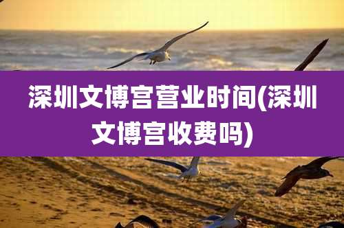 深圳文博宫营业时间(深圳文博宫收费吗)