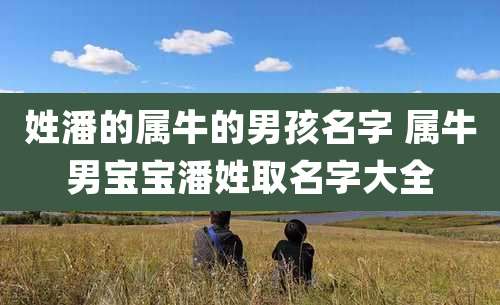 姓潘的属牛的男孩名字 属牛男宝宝潘姓取名字大全