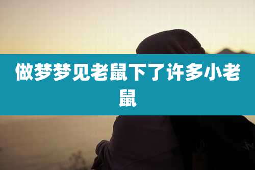 做梦梦见老鼠下了许多小老鼠