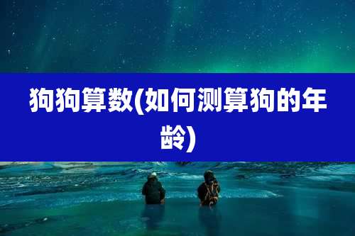 狗狗算数(如何测算狗的年龄)