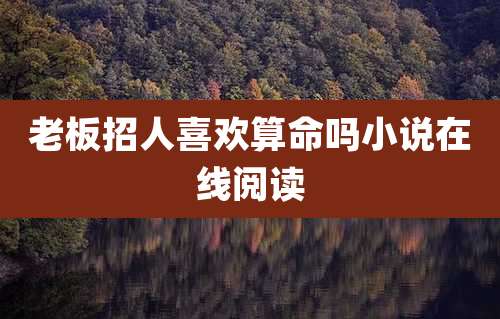 老板招人喜欢算命吗小说在线阅读