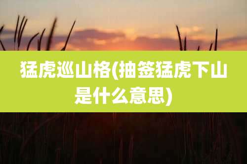 猛虎巡山格(抽签猛虎下山是什么意思)