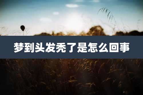 梦到头发秃了是怎么回事