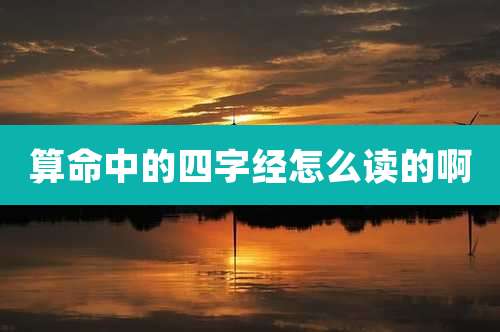 算命中的四字经怎么读的啊