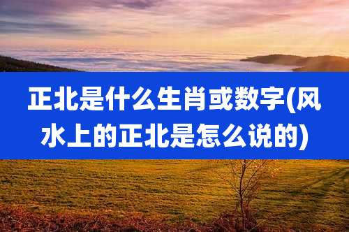 正北是什么生肖或数字(风水上的正北是怎么说的)