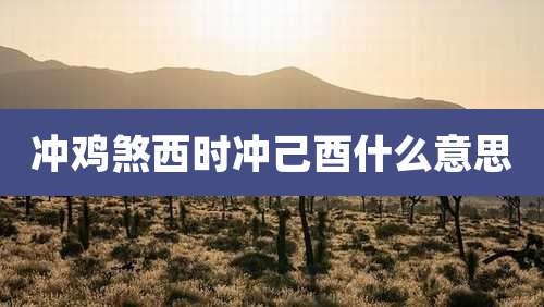 冲鸡煞西时冲己酉什么意思