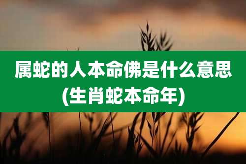 属蛇的人本命佛是什么意思(生肖蛇本命年)