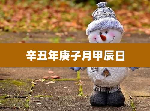 辛丑年庚子月甲辰日