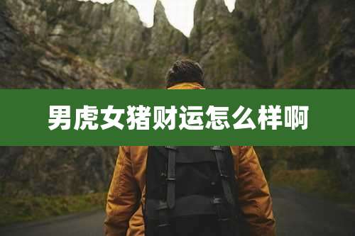 男虎女猪财运怎么样啊