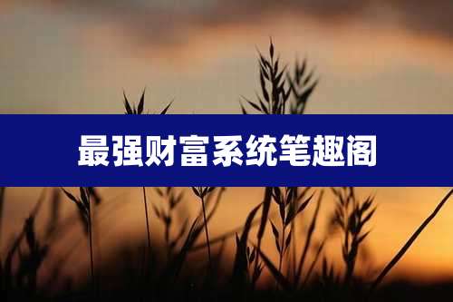 最强财富系统笔趣阁