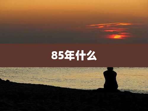 85年什么
