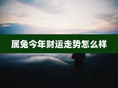 属兔今年财运走势怎么样