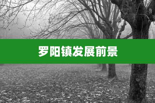 罗阳镇发展前景