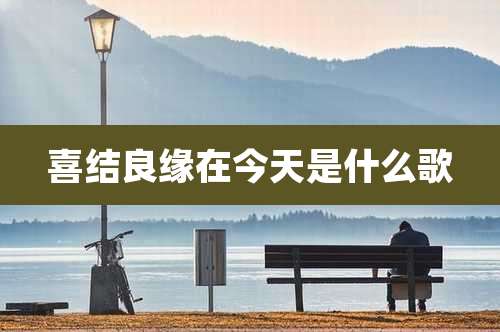 喜结良缘在今天是什么歌