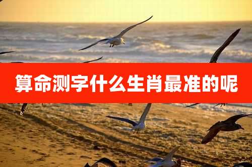 算命测字什么生肖最准的呢