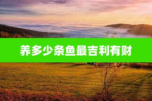 养多少条鱼最吉利有财