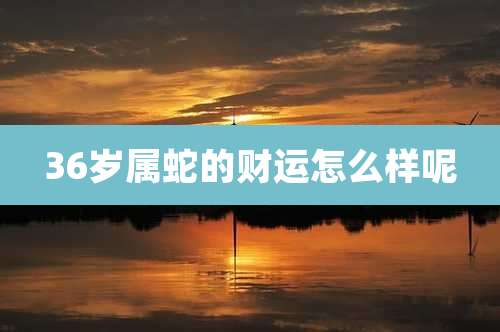 36岁属蛇的财运怎么样呢