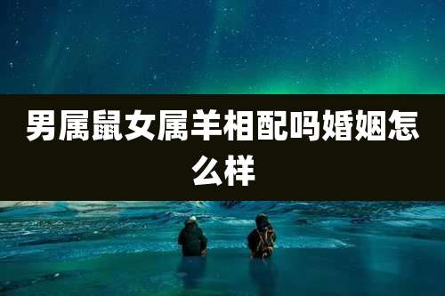 男属鼠女属羊相配吗婚姻怎么样