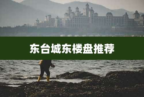 东台城东楼盘推荐