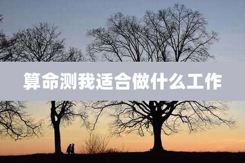 算命测我适合做什么工作