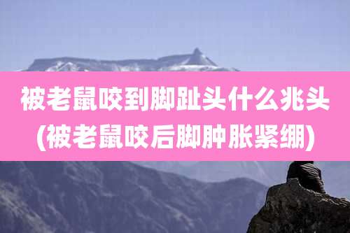 被老鼠咬到脚趾头什么兆头(被老鼠咬后脚肿胀紧绷)