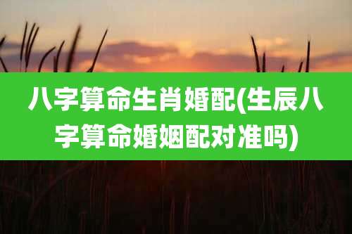 八字算命生肖婚配(生辰八字算命婚姻配对准吗)