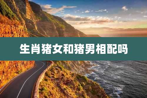 生肖猪女和猪男相配吗