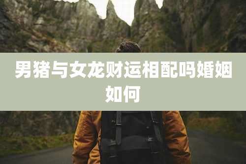 男猪与女龙财运相配吗婚姻如何