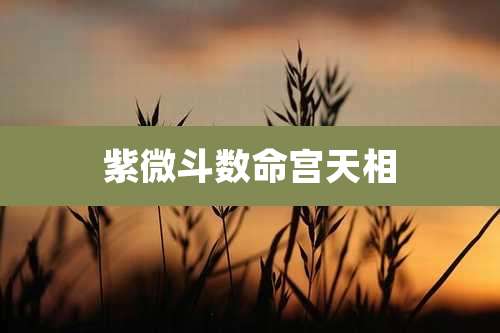 紫微斗数命宫天相