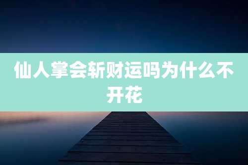仙人掌会斩财运吗为什么不开花