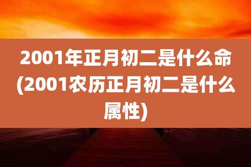 2001年正月初二是什么命(2001农历正月初二是什么属性)
