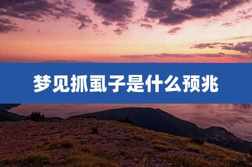 梦见抓虱子是什么预兆