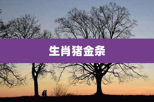 生肖猪金条