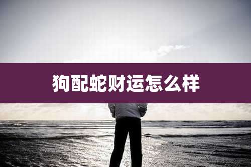 狗配蛇财运怎么样