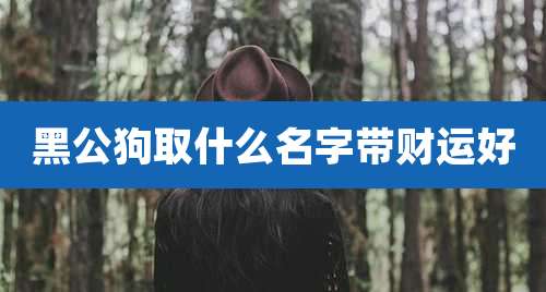 黑公狗取什么名字带财运好