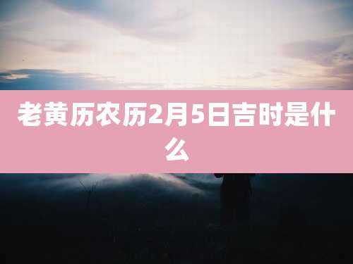 老黄历农历2月5日吉时是什么
