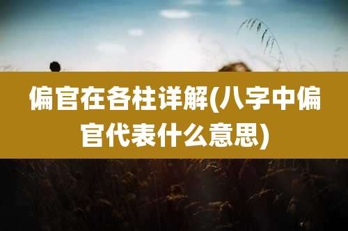 偏官在各柱详解(八字中偏官代表什么意思)