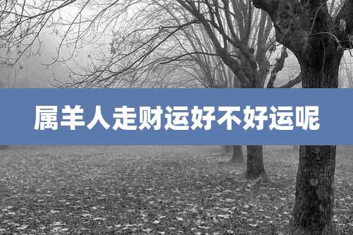 属羊人走财运好不好运呢